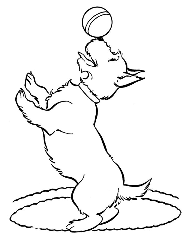 Hond Bal coloring page for children