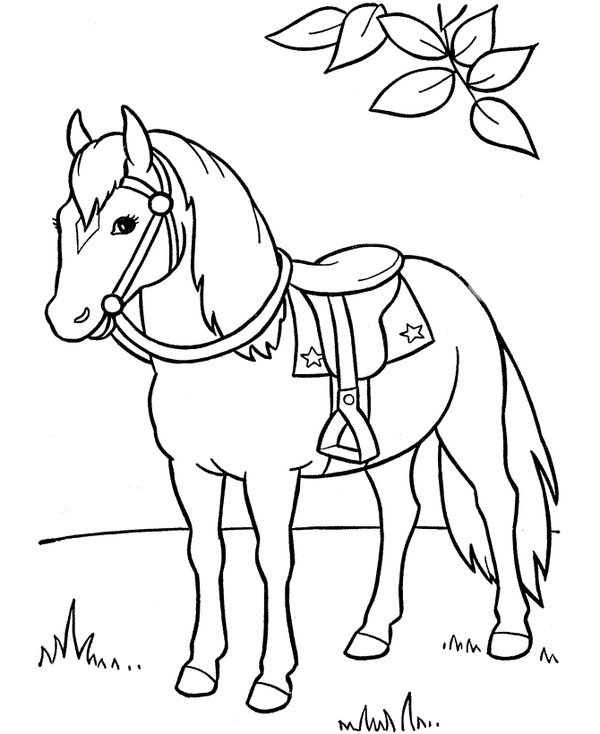 Horse Saddle coloring page for children
