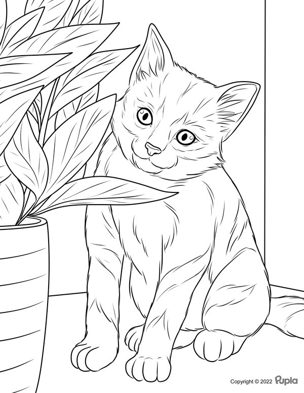 Kat Plant coloring page for children