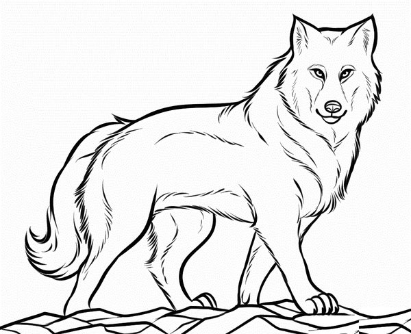 Le Loup Fier De L Etre coloring page for children