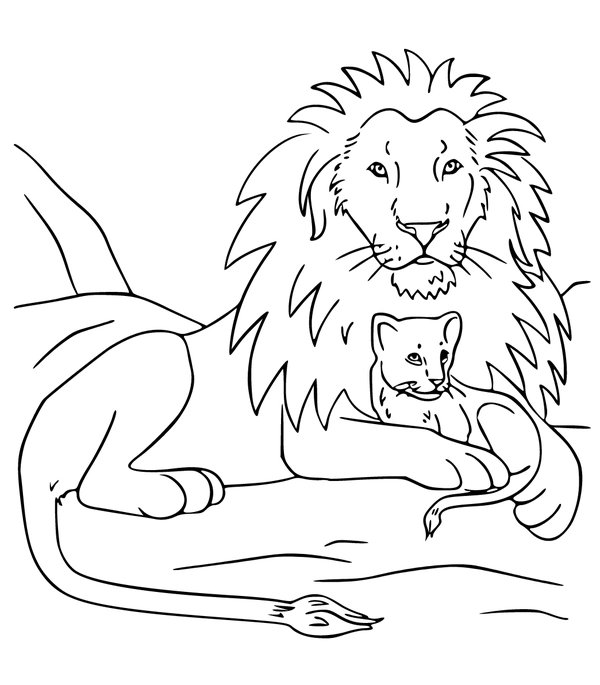 Leeuw Baby Leeuw coloring page for children