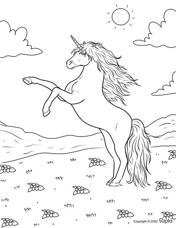 Childrens coloring page
