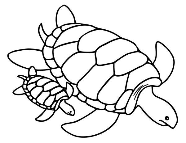 Moeder Schildpad Baby coloring page for children