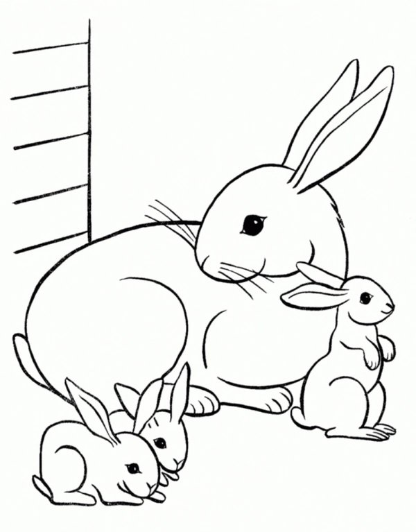 Mutterhäschen mit drei Babyhäschen coloring page for children