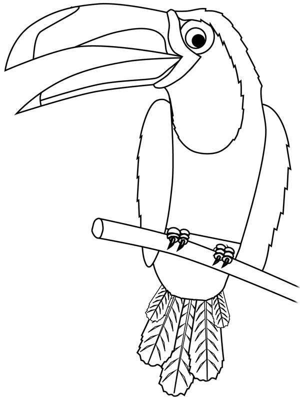 Oiseaux Tucan coloring page for children