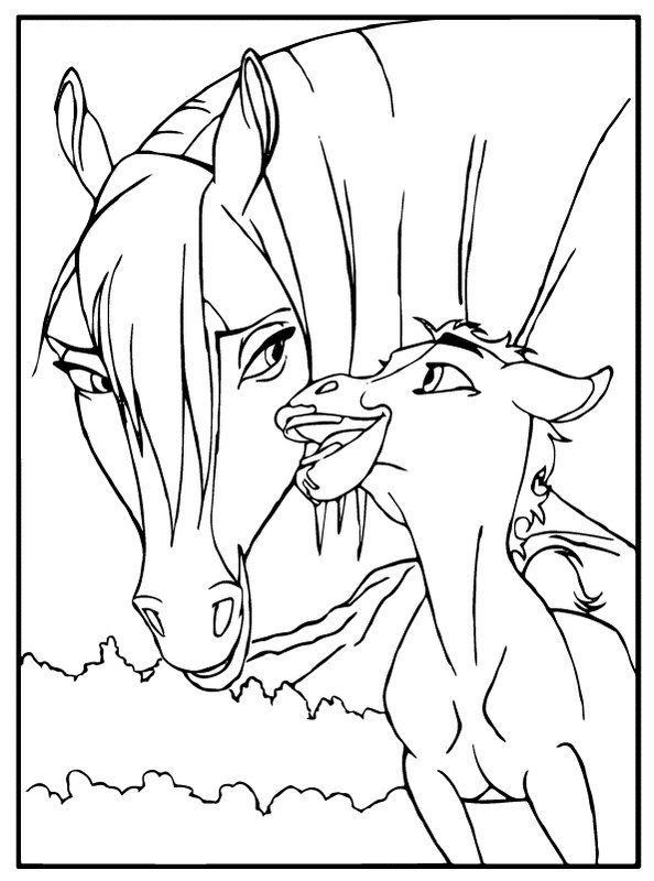 Paard Veulen coloring page for children