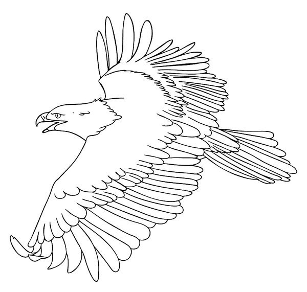 Pajaros Aguila Volando coloring page for children