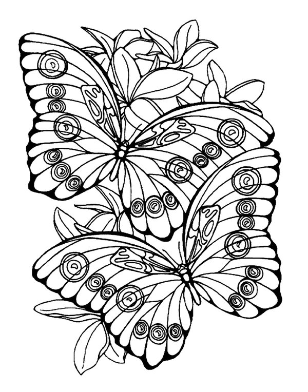 Pareja De Mariposas coloring page for children