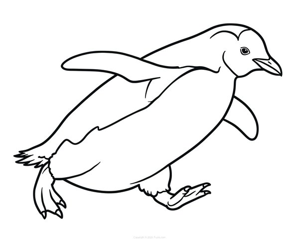 Penguin Running coloring page for children