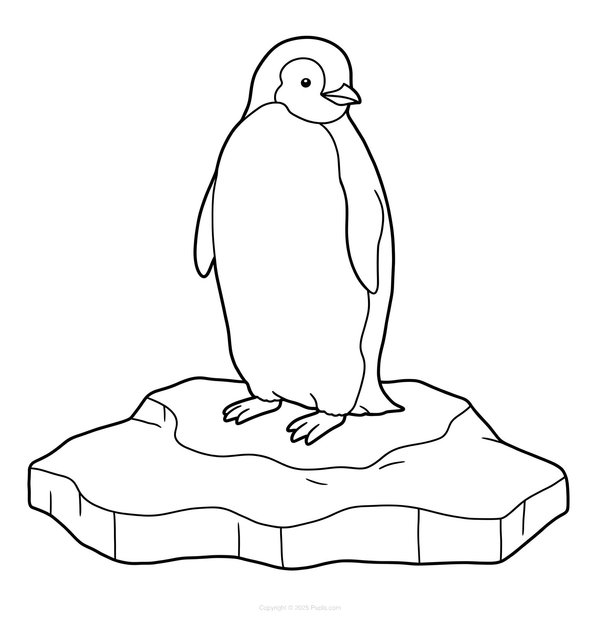 Pingouin Debout Sur Une Banquise coloring page for children