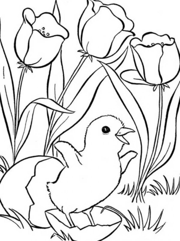 Pollito De Primavera Del Huevo coloring page for children