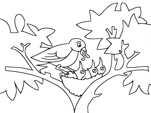 Printemps Maman oiseau nourrissant ses bébés coloring page for children