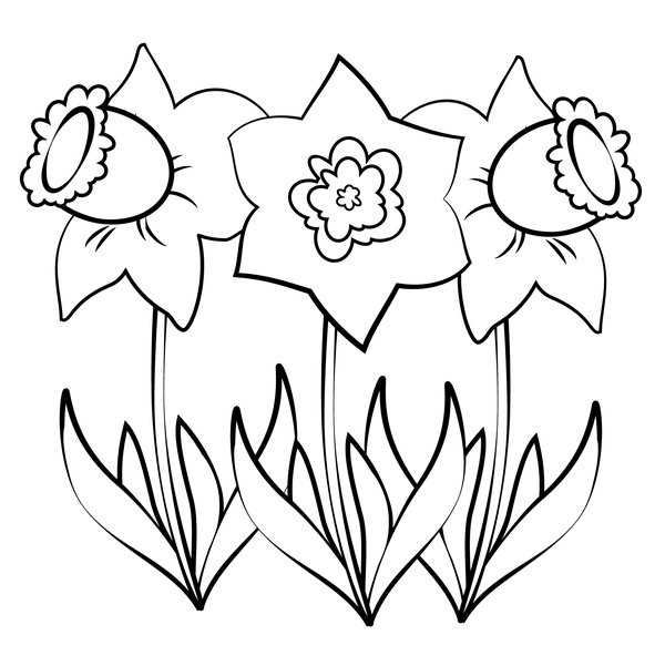 Printemps Trois Jonquilles coloring page for children