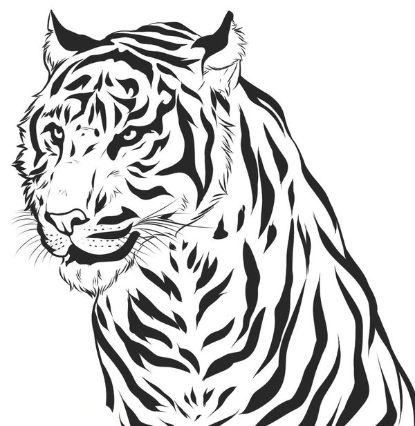 Realistic Tiger Head coloring page for children