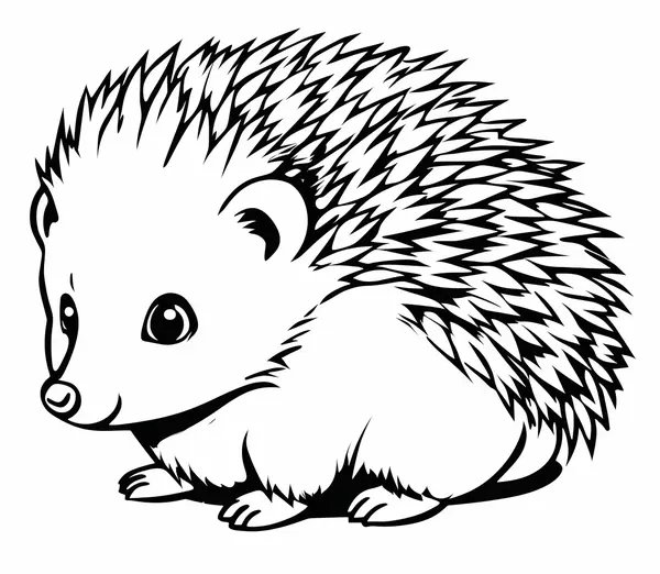 Realistischer Igel coloring page for children