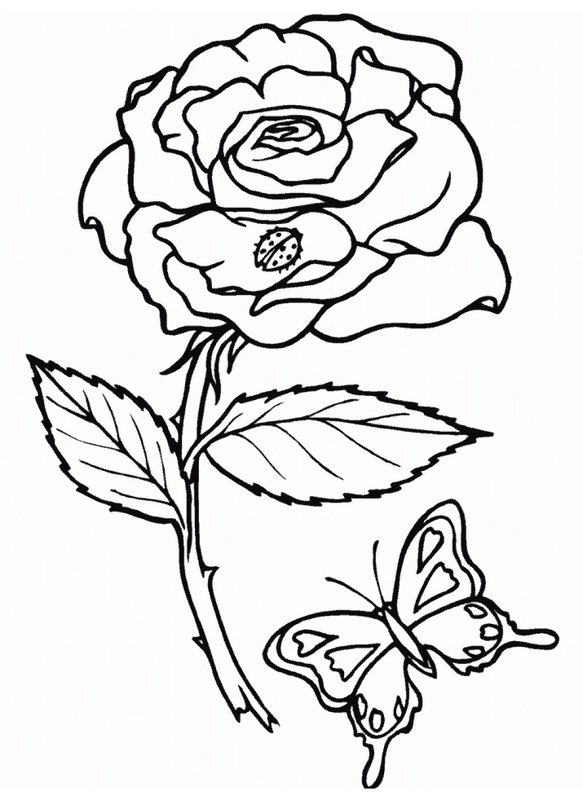 Roos Lieveheersbeestje Vlinder coloring page for children