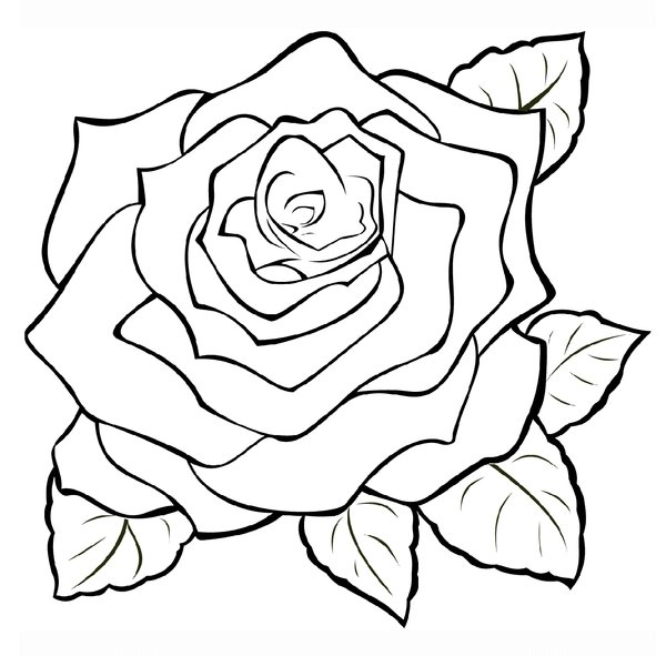 Rosa Ampliada coloring page for children