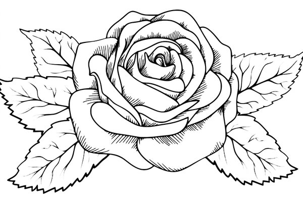 Rosa Detallada Con Hojas coloring page for children