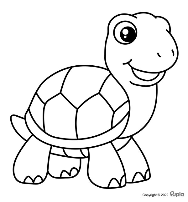 Schildkröte Einfach und niedlich coloring page for children