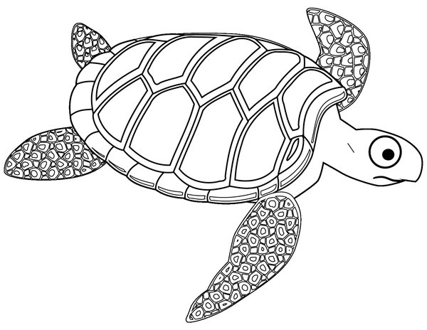 Schildkrote Mit Grossen Augen coloring page for children