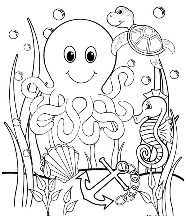 Schildpad Zeepaardje Inktvis coloring page for children