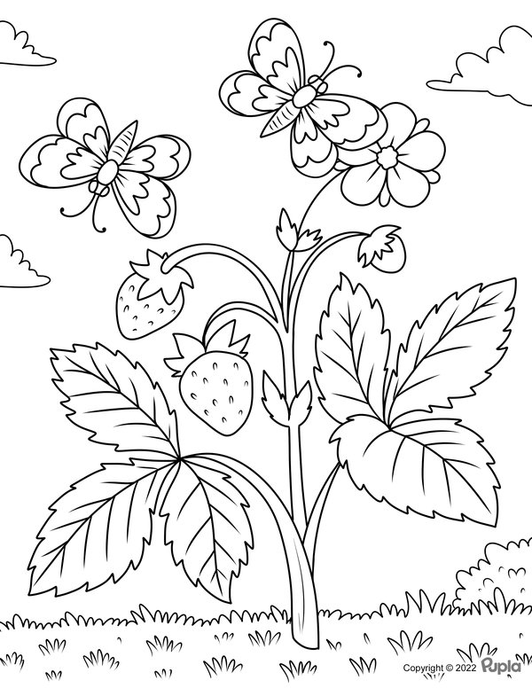 Schmetterlinge Mit Erdbeeren coloring page for children