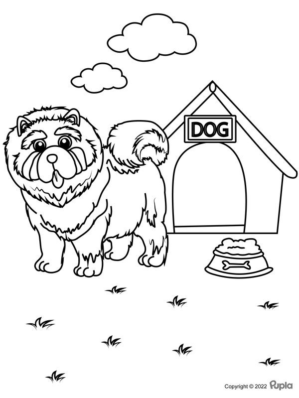 Sint Bernard Hond coloring page for children