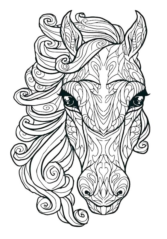 Tete De Cheval Detaillee coloring page for children