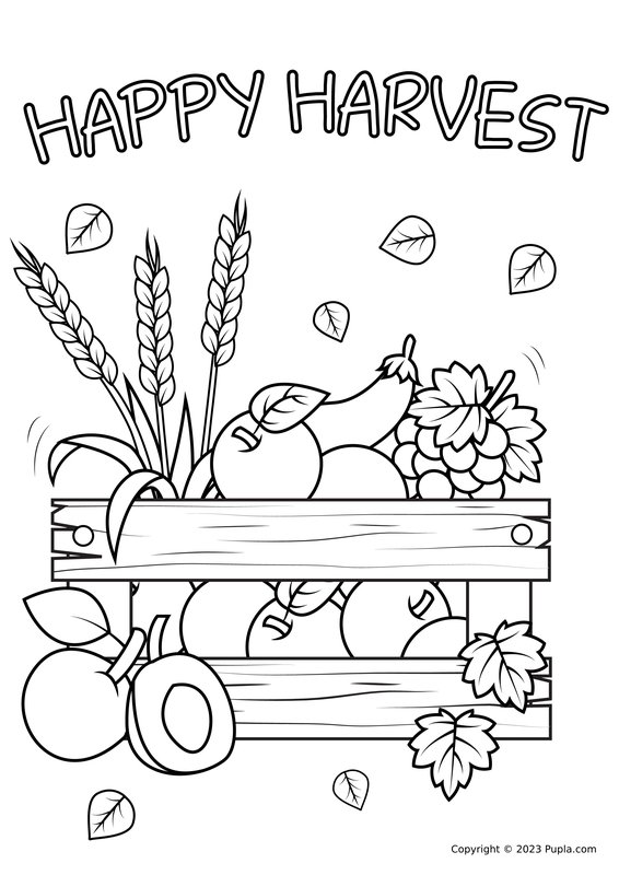 Thanksgiving Happy Harvest coloring page for children