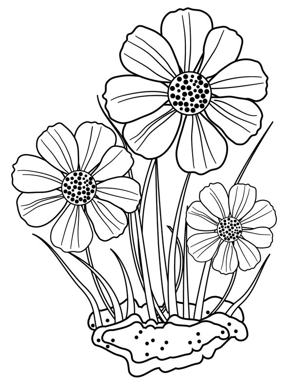 Tres flores coloring page for children