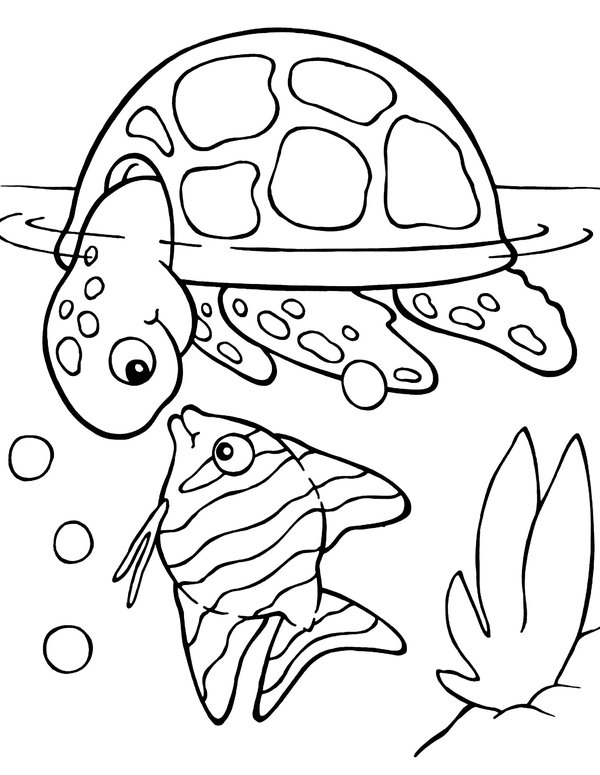 Turtle Fish Sea coloring page for children