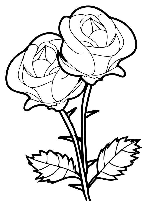 Twee Rozen coloring page for children
