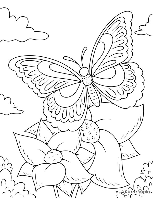 Vlinder Narcissen coloring page for children