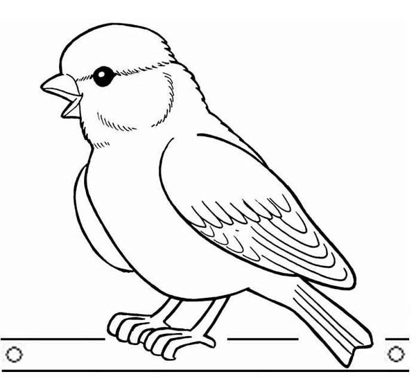 Vogel Goudvink coloring page for children