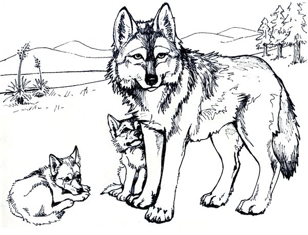 Wolf mit zwei Babywölfen coloring page for children