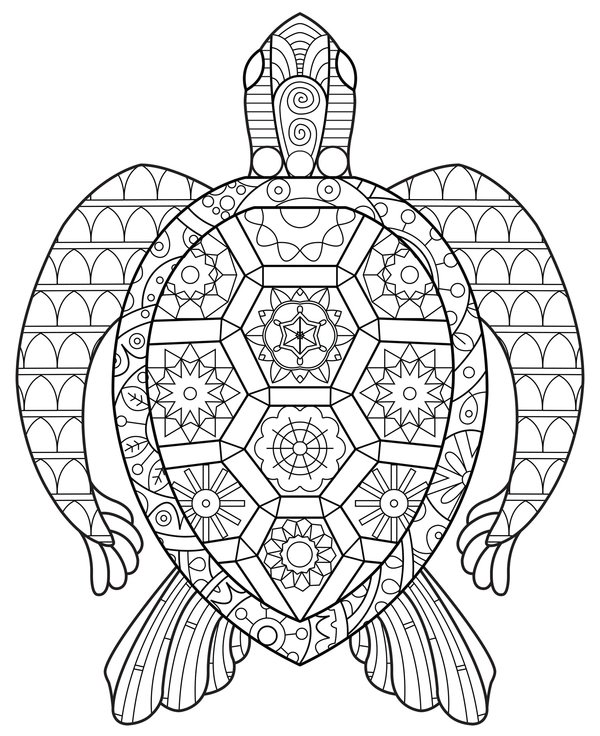 Zentangle Turtle Above coloring page for children