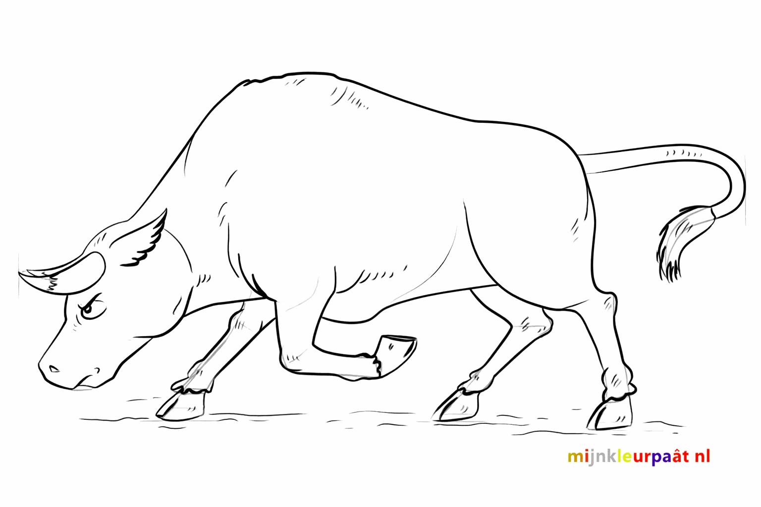 Refined lines emphasizing the strong shape of the bull.