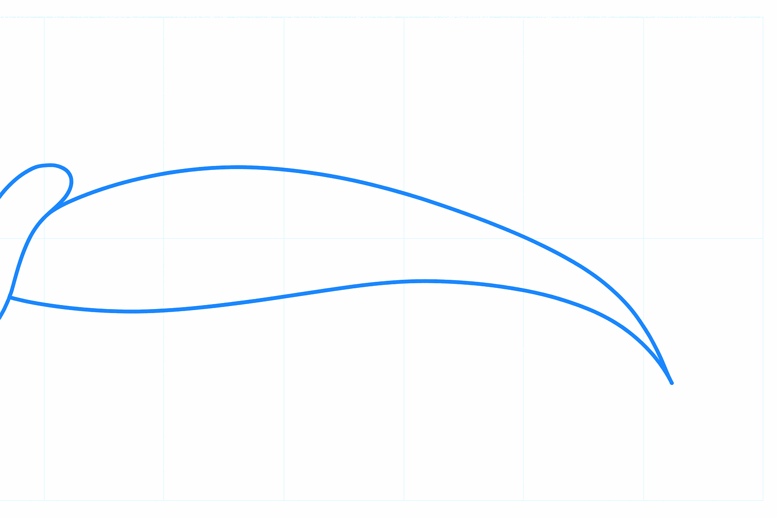 The outline of the shark's body.