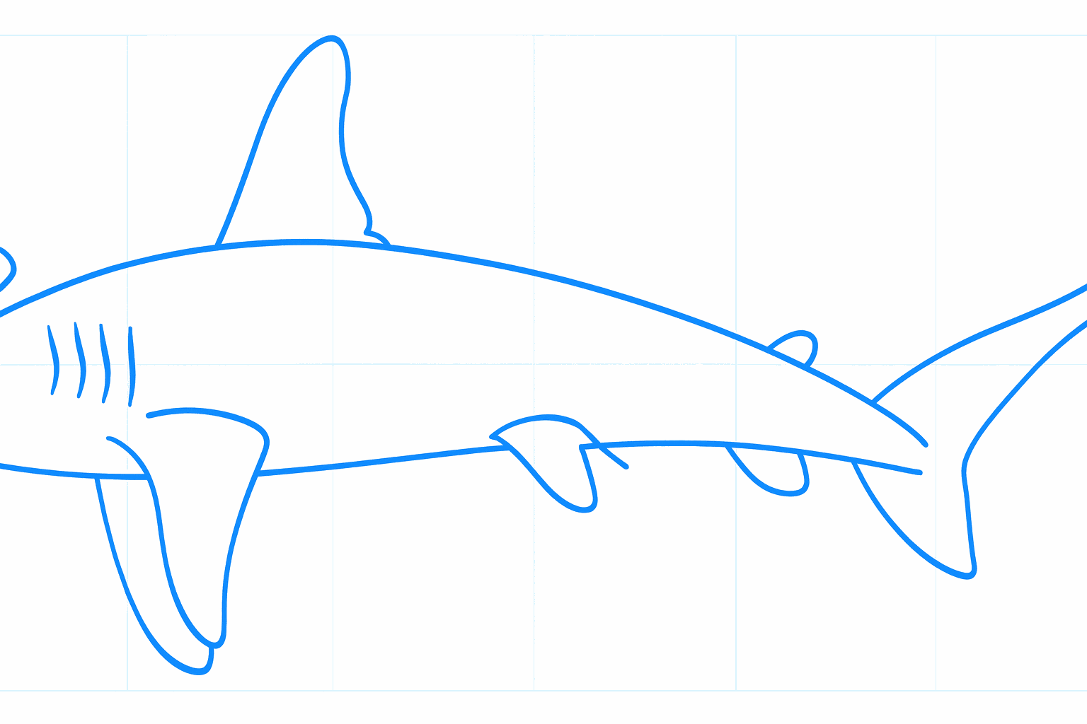 Side fins and the rounded shape of the hammerhead.