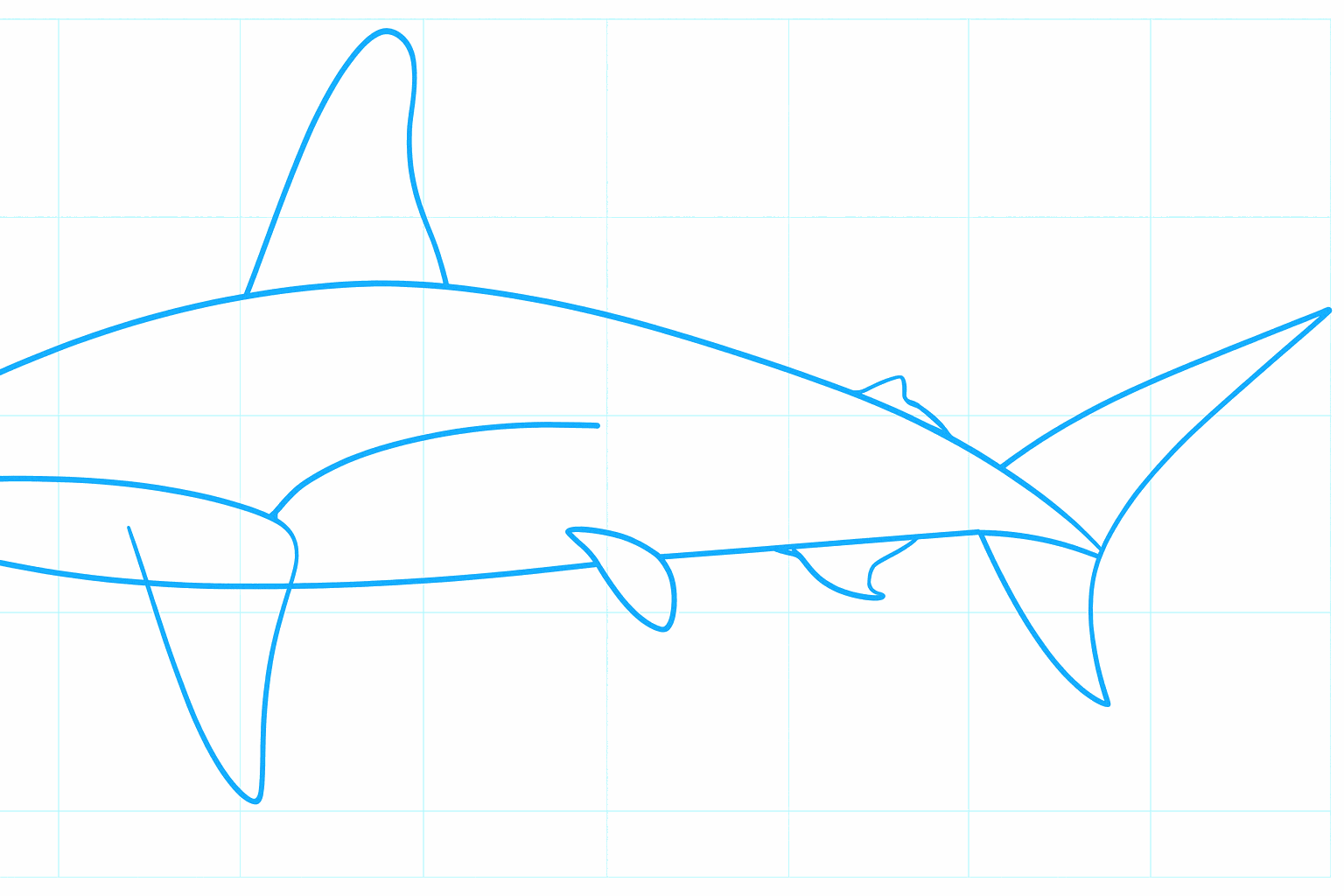 Small details and extra fins near the tail.