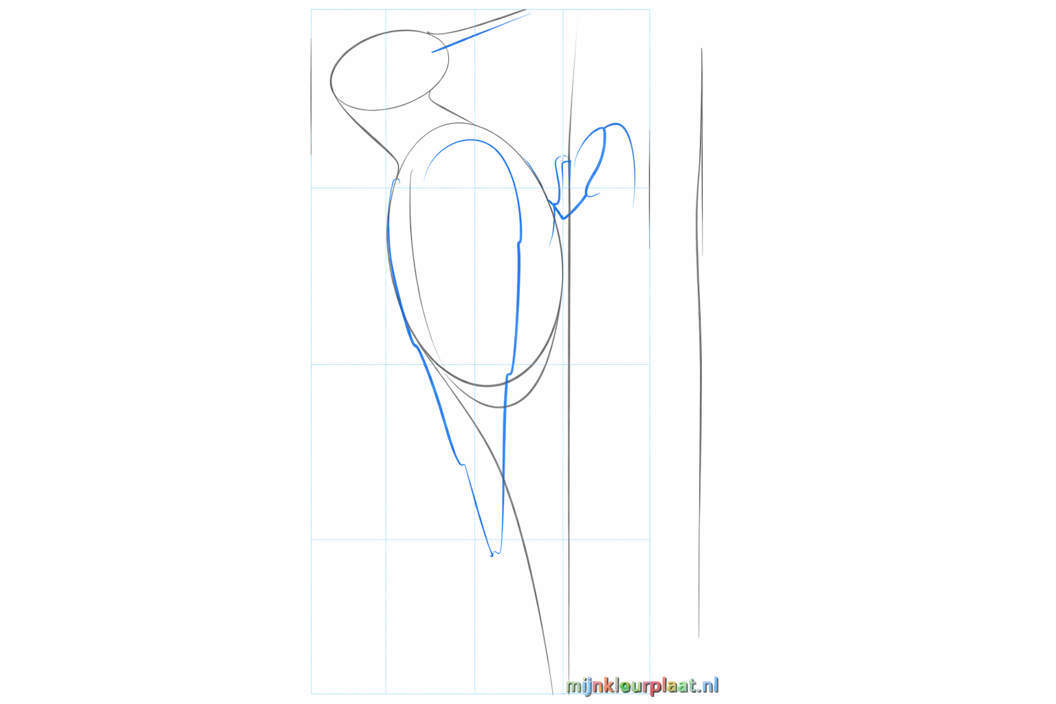 Guide lines for the beak, wings, and legs of the bird.