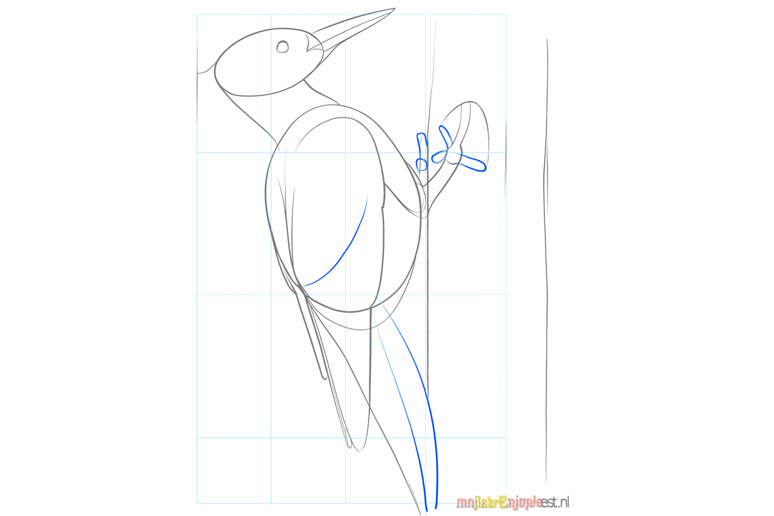 Drawing of a woodpecker with an eye and a sharp tail against the tree.