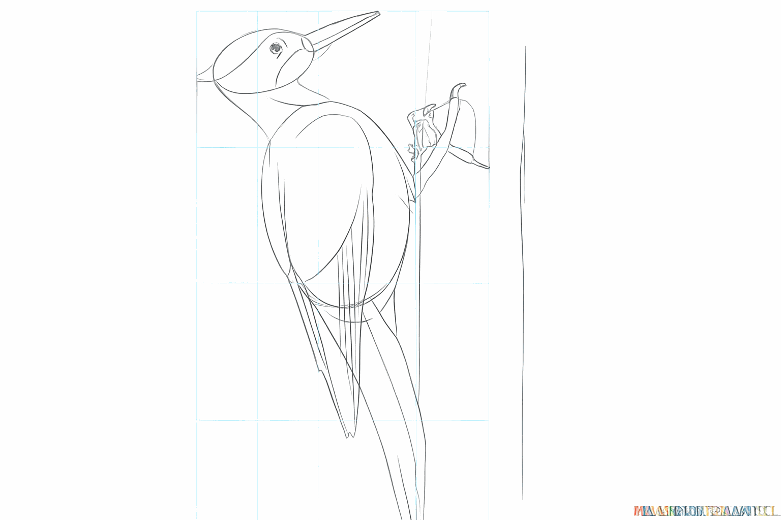 Detail of the legs and claws of the woodpecker on the trunk.