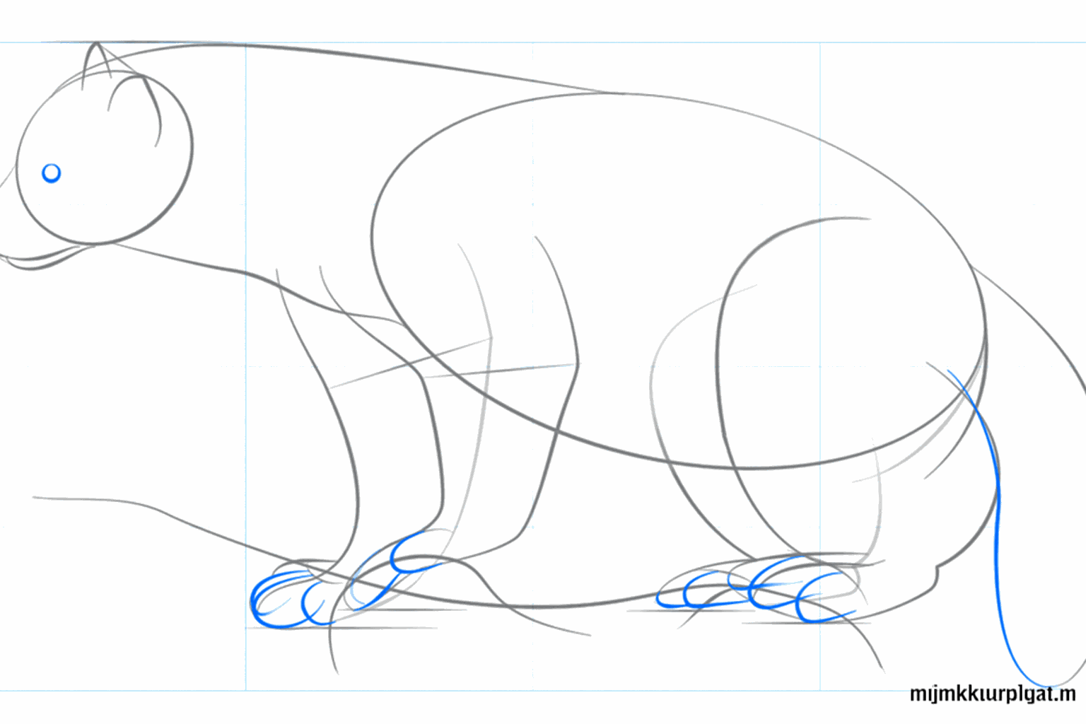 Drawing details of the face and a full tail.