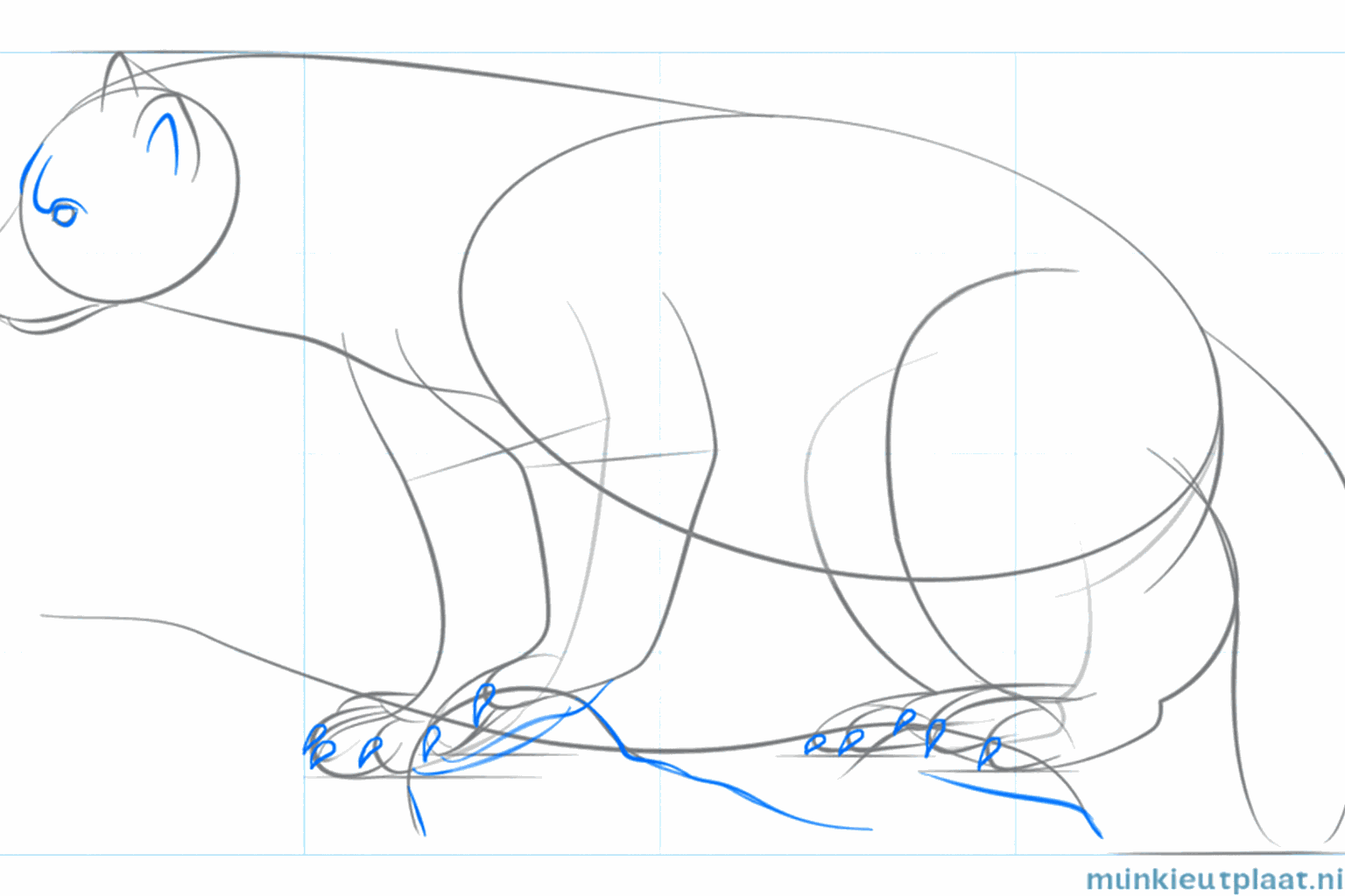 Paws with toes and claws of the wolverine.