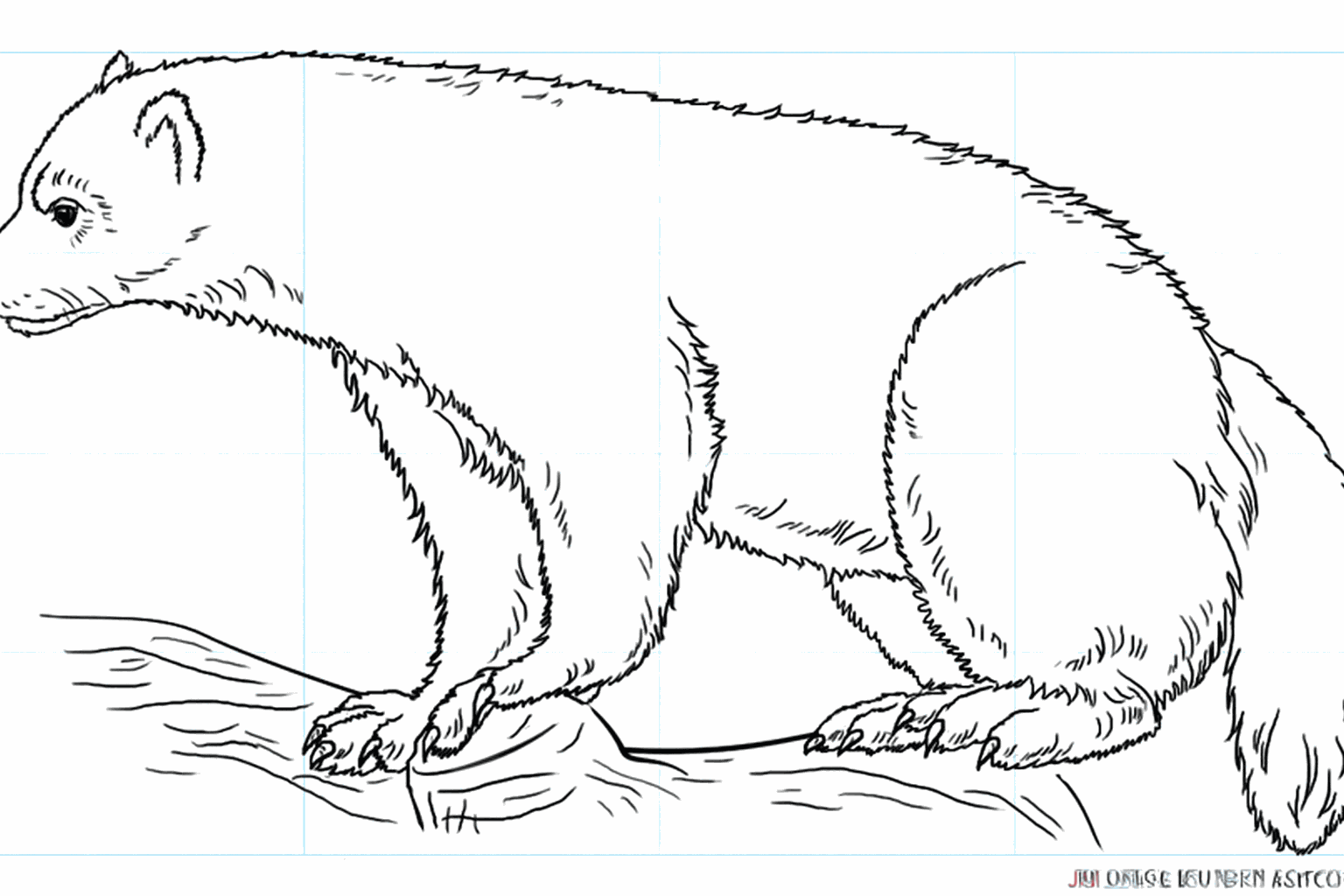 Drawing a tough wolverine