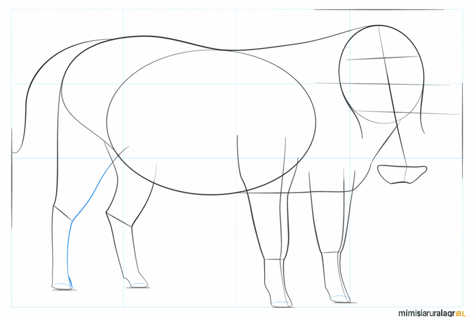 The legs take shape and sturdy hooves appear at the bottom.