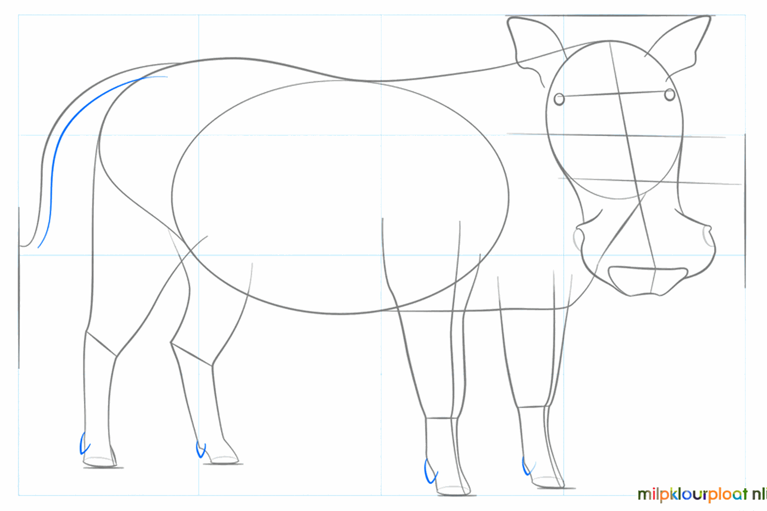 Details of the snout and ears are added to the head.