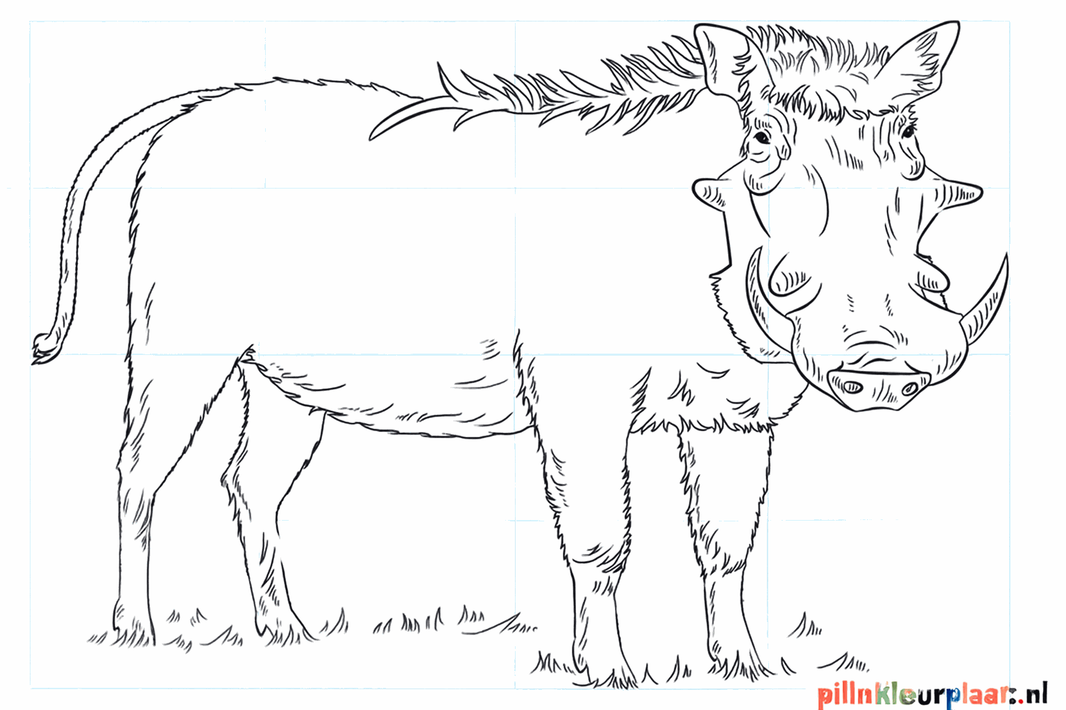 Drawing a funny warthog