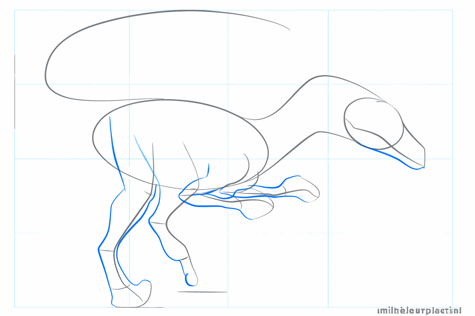 Draw the thickness of the legs and the shape of the lower jaw.